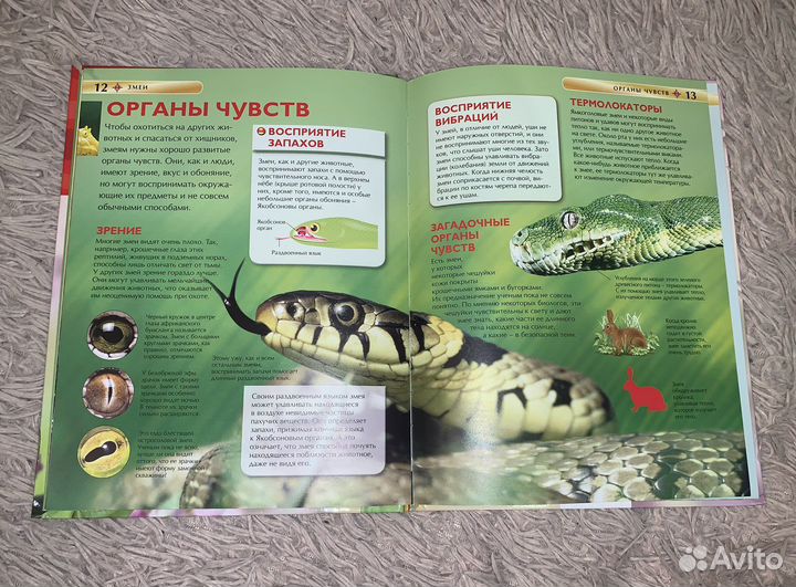 Книги про динозавтров и змеи