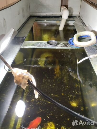 Аквариум 200 л + самп 115 л полная комплектация