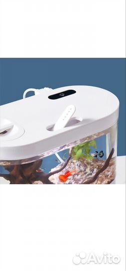 Аквариум мини