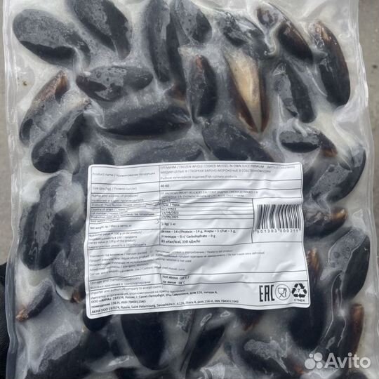 Мидии в раковине