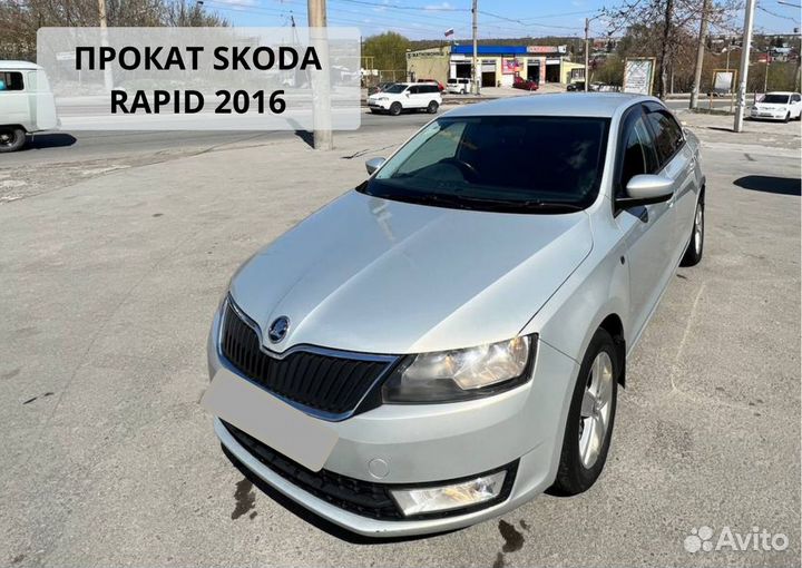 Прокат Skoda Rapid 2016 года