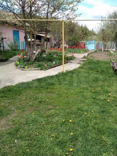 Дом 60 м² на участке 20 сот.