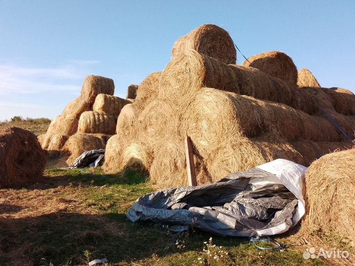 Сено в тюках