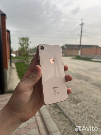 iPhone 8, 64 ГБ