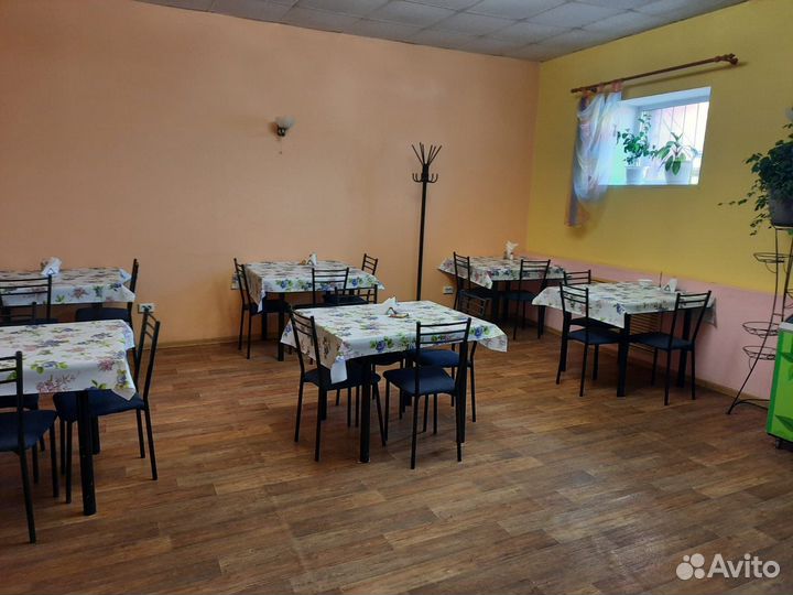 Готовый бизнес Столовая