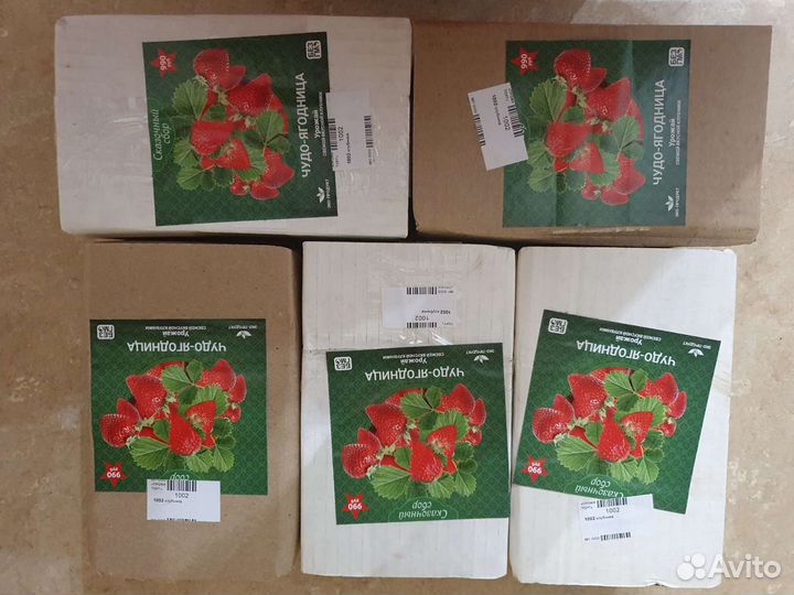 Чудо ягодница