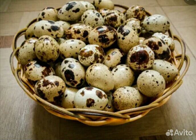 Яйца перепелиные,тушки копченые