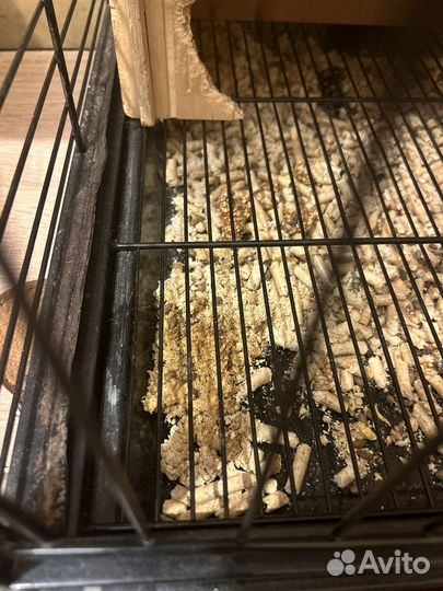 Клетка большая для крупных грызунов б/у