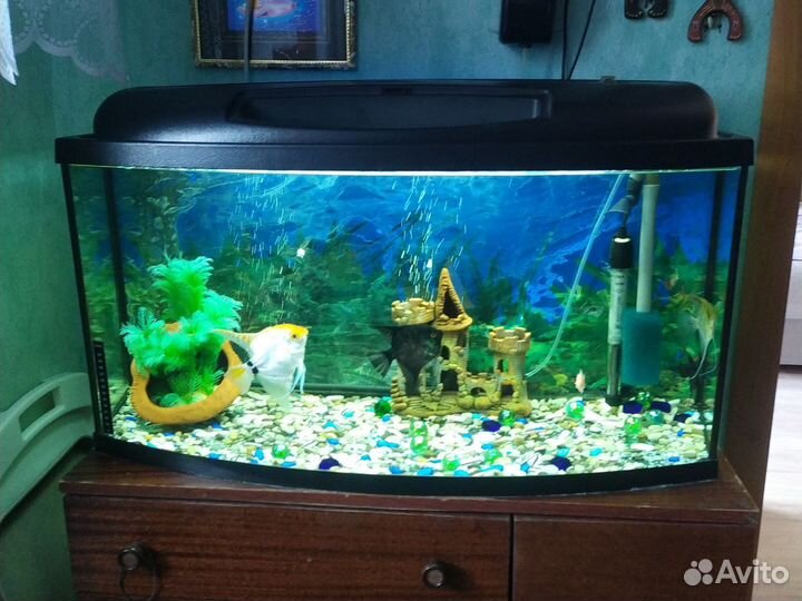 Аквариум с рыбками бу