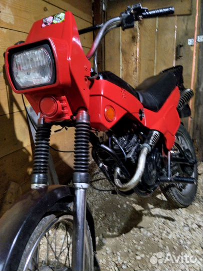 Зид пилот 50