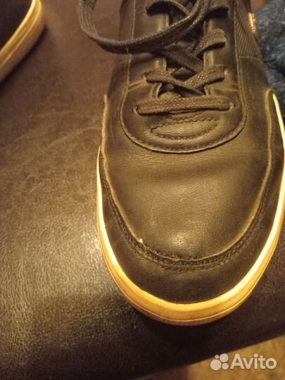 Lacoste кеды мужские 43р оригинал