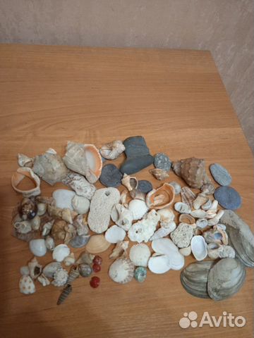 Ракушки, камни с моря
