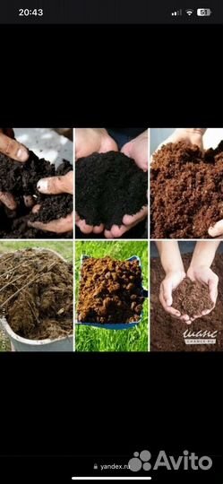 Торф перегной