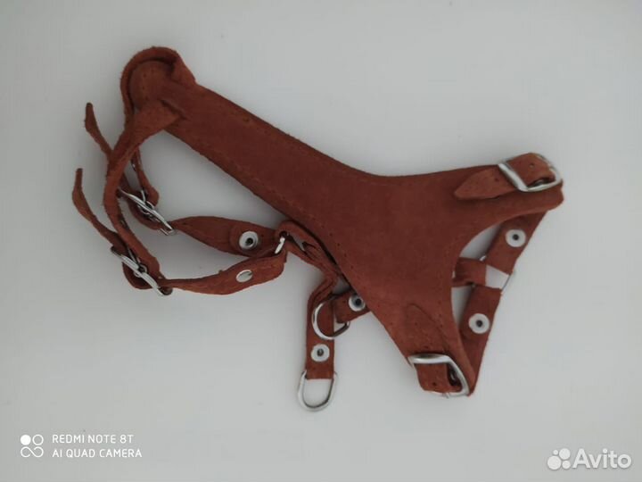 Шлейка мини собачек