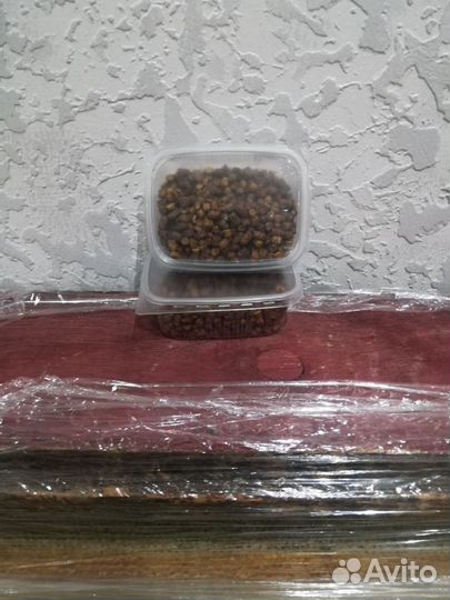 Перга пчелиная