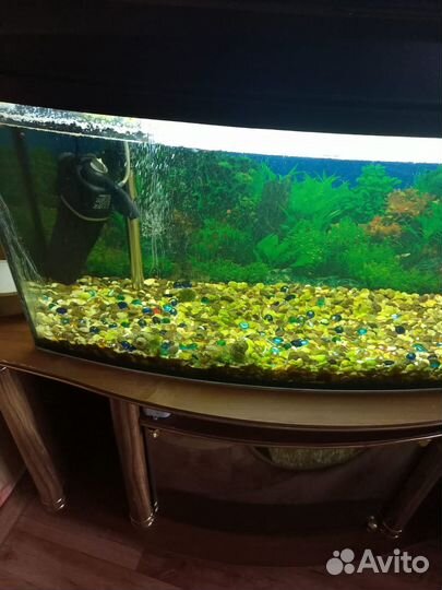 Аквариум