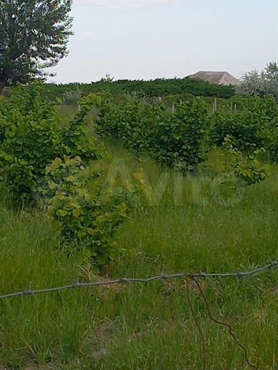 Участок 15 сот. (ИЖС)