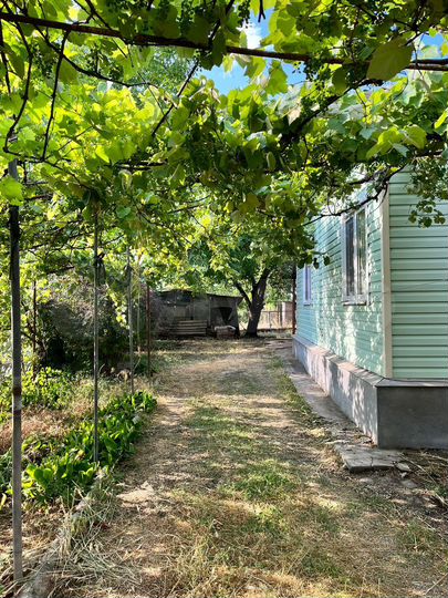 Дом 54,3 м² на участке 21 сот.