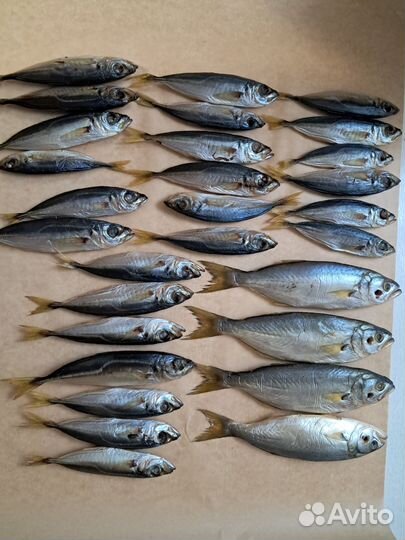 Черноморская вяленая и хк Барабулька Сарган Бычки