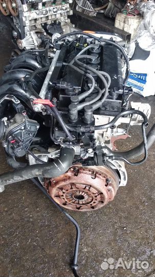 Двигатель ford duratec-TI 1.6L iqdb hxda pnda pnba