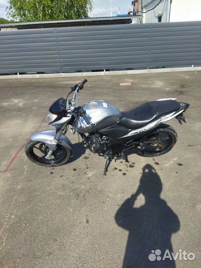 Stels flex 250