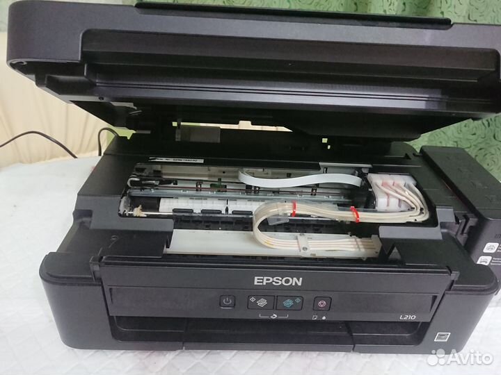 Принтер Epson L210. Не работает