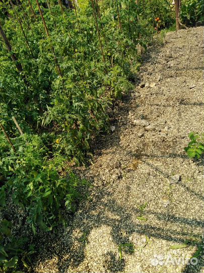 Грибные блоки