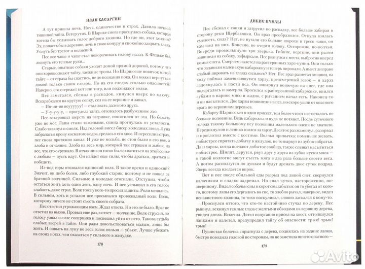 Дикие пчёлы