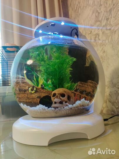 Аквариум круглый Тетра 6,8 л