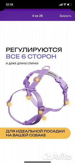 Анатомическая шлейка для маленьких собак