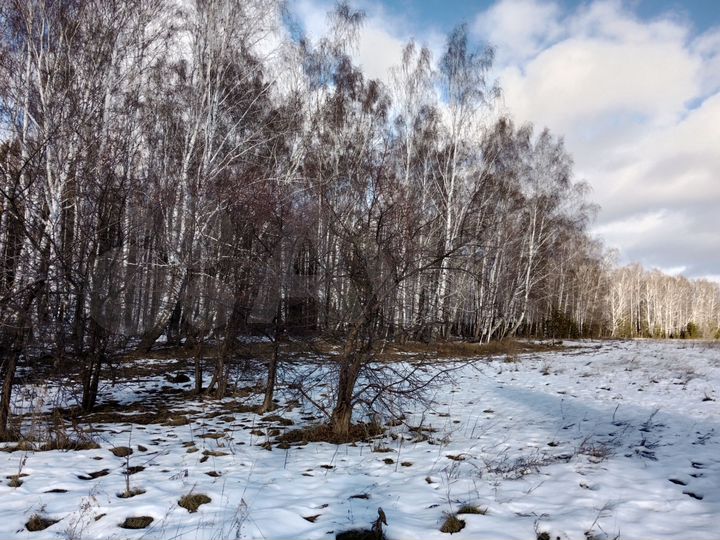 Участок 20 сот. (ИЖС)