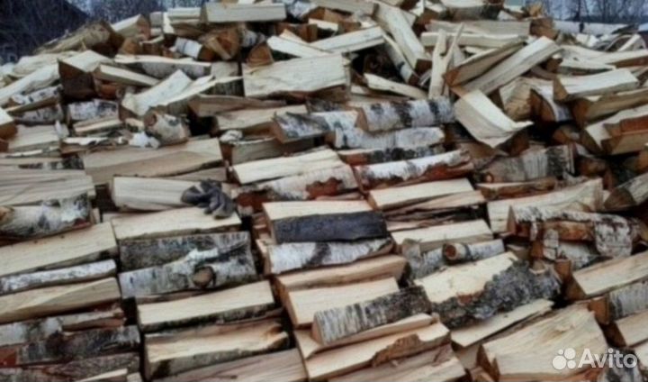 Дрова береза