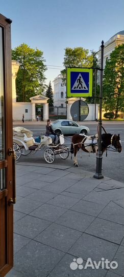 Аренда экипажа(кареты),тренировки верхом на лошади