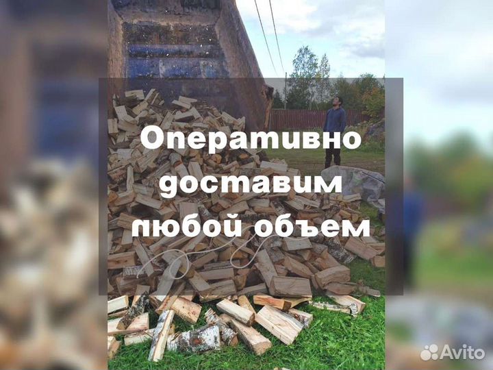 Дрова. Колотые