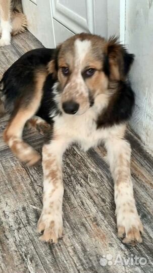 Жду своего человека