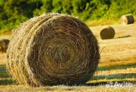 Сено в рулонах