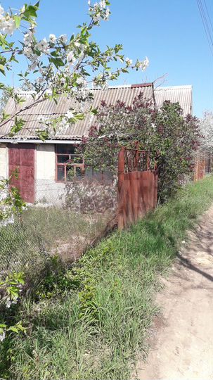 Участок 8,1 сот. (СНТ, ДНП)