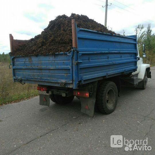 Коровьий навоз