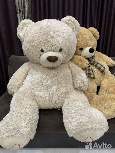 Большие плюшевые медведи
