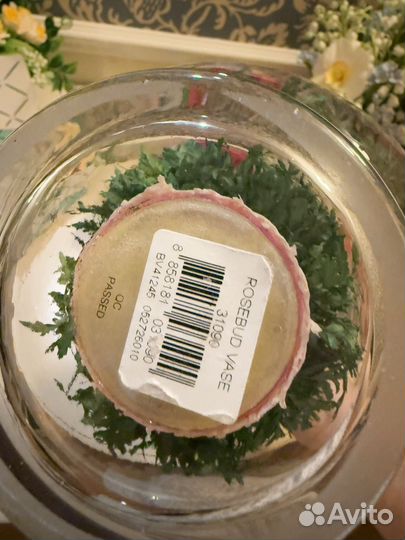 Живые стабилизированные цветы