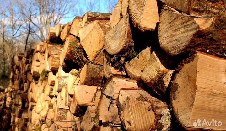 Дрова из Буратино