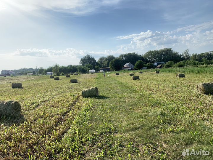 Сено в тюках