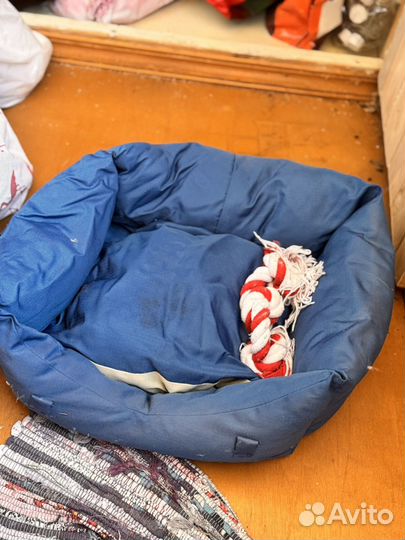 Лежанка для собак