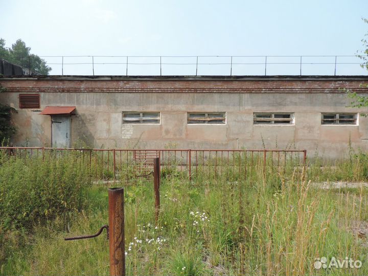 Помещение свинокомплекс коровник ферма крс скот