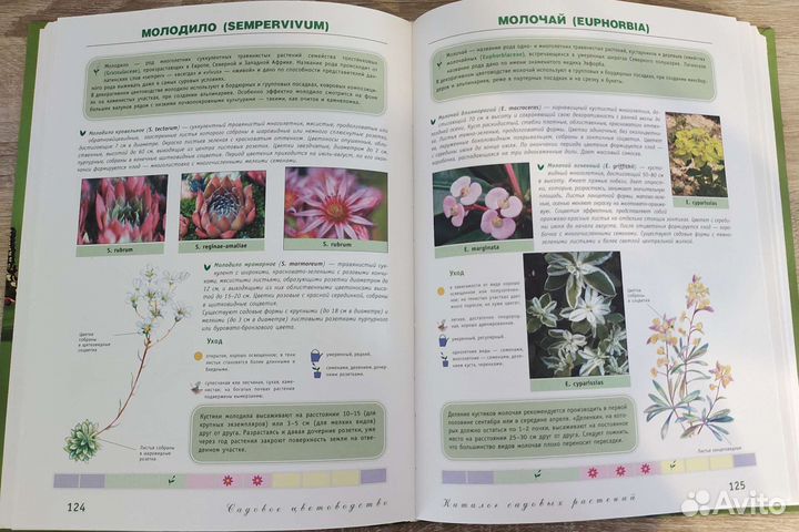 Иллюстрированная энциклопедия садовых растений