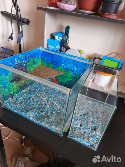 Аквариум