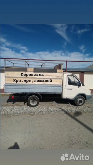 Грузоперевозки газель