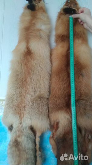 Мех лисы, шкурки лисицы