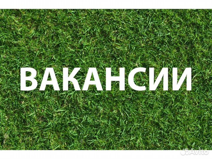 Требуется Сборщик Вахта