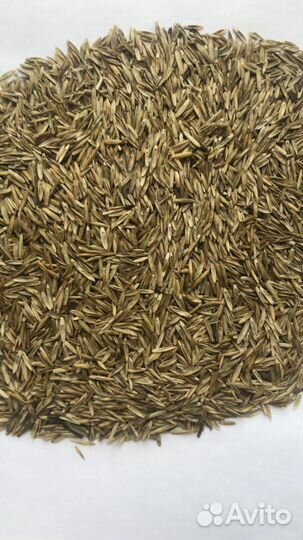 Семена многолетних и однолетних трав